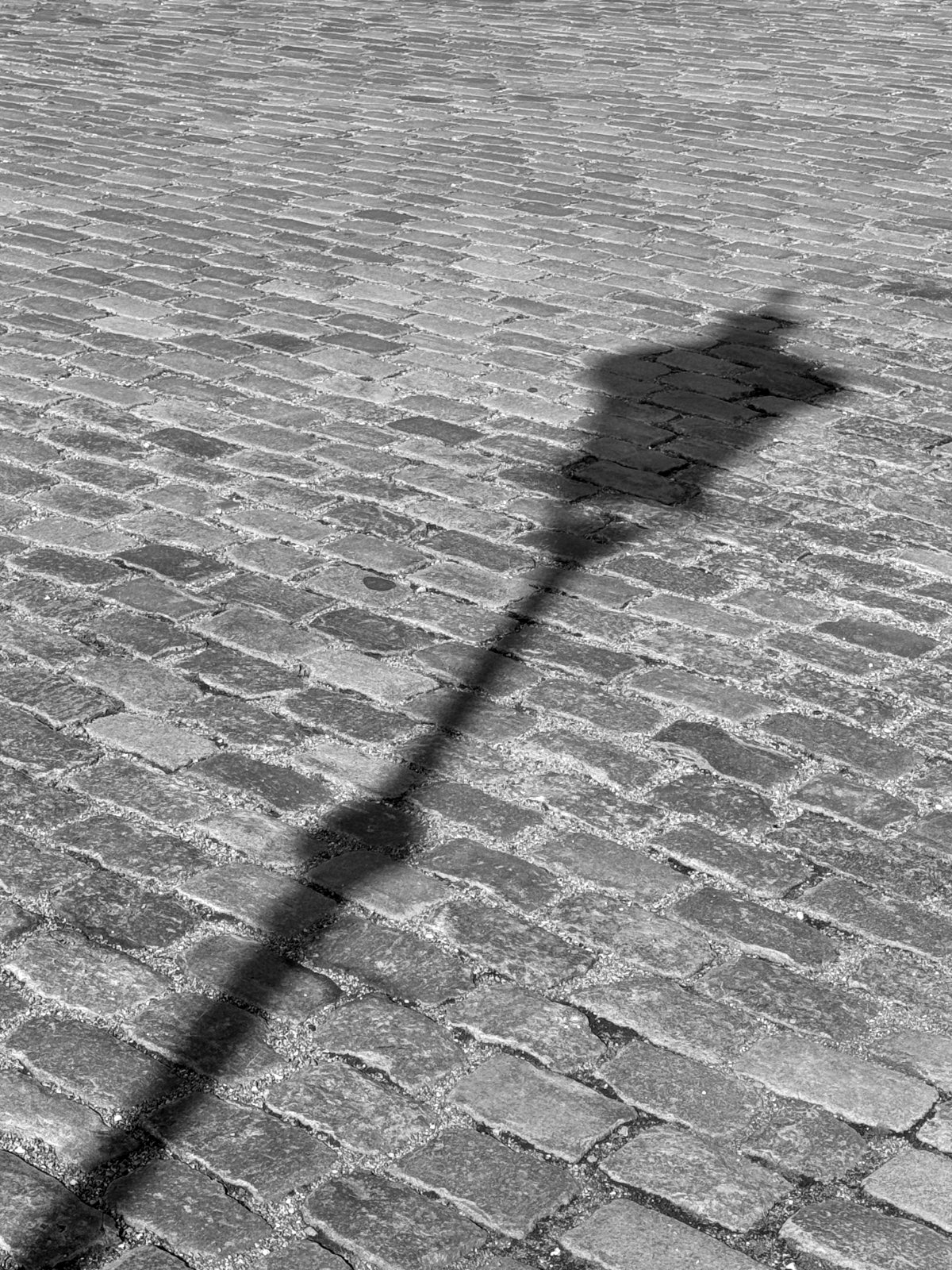 Shadow of a lamp post on cobblestones, Copenhagen — black and white